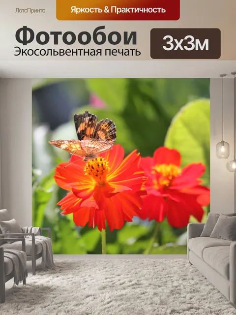 Фотообои Серебристая бабочка шапочка 2