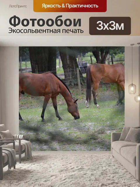 Фотообои Выпаса лошадей