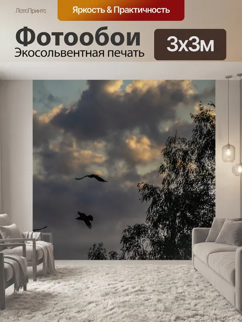 Фотообои Силуэт птиц против бурного неба