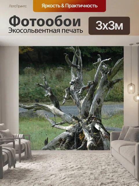 Фотообои Природа