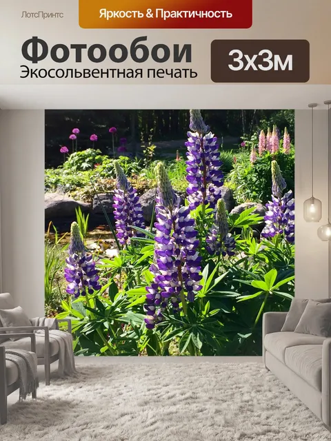 Фотообои Люпины