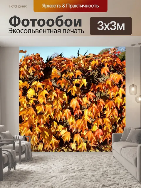 Фотообои Осень