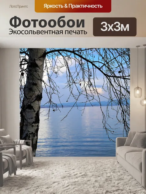 Фотообои Берёза