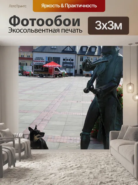 Фотообои Статуя, Польша