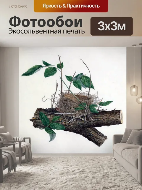 Фотообои Винтажное птичье гнездо