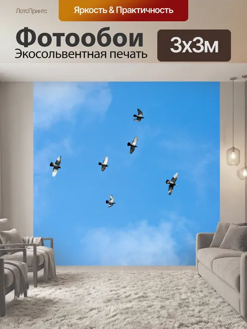 Фотообои Птицы летают