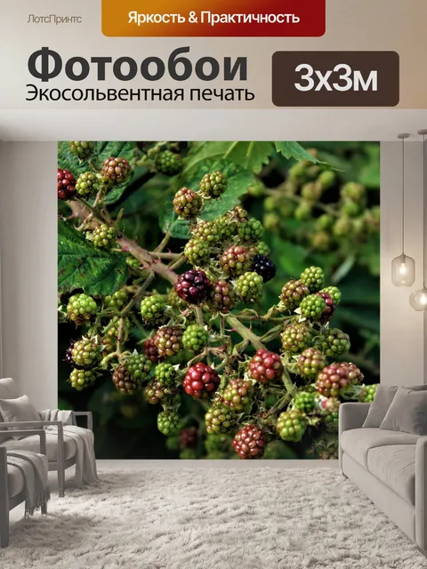 Фотообои Ягоды
