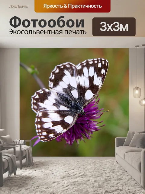 Фотообои Бабочка