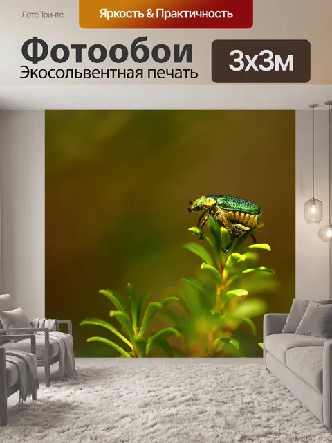Фотообои Насекомое