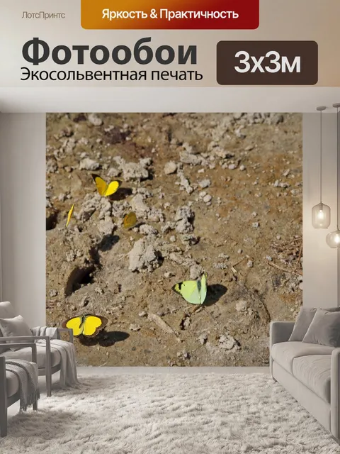 Фотообои бабочки сидят на высушенной грязи