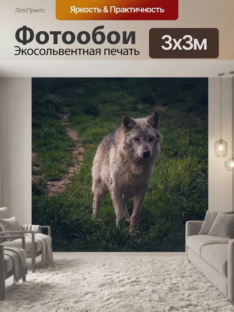 Фотообои Волк