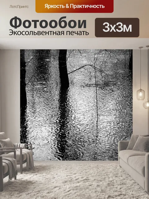 Фотообои Дождь