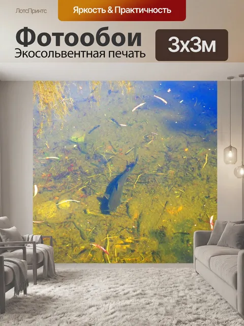 Фотообои Рыба Подводные