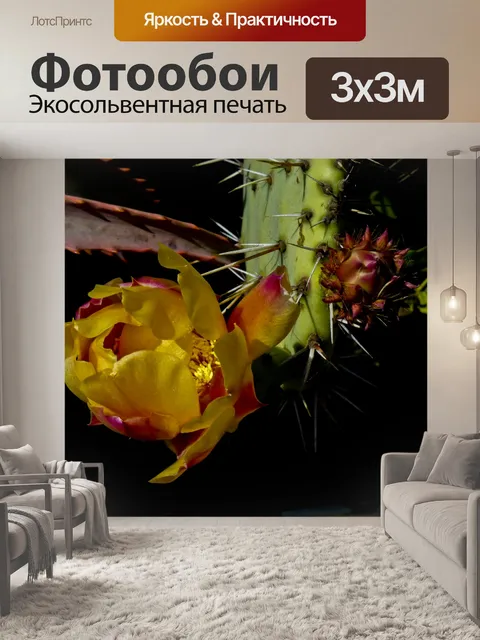 Фотообои Колючая груша Кактус Блум