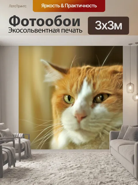 Фотообои кошачьи глаза