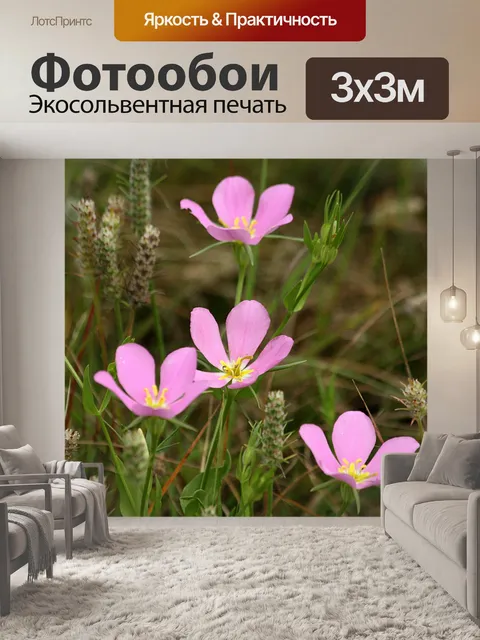 Фотообои Розовые прерии Сабация Полевые цветы