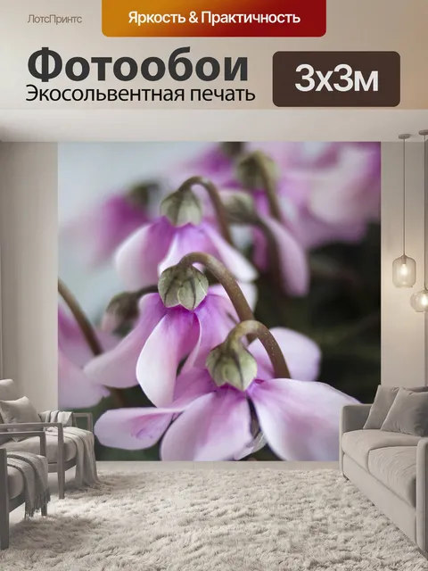 Фотообои Розовый