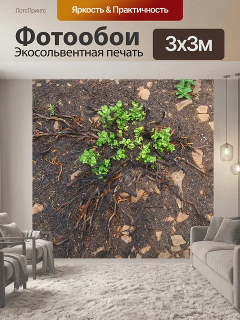 Фотообои Побеги от сгоревшего растения