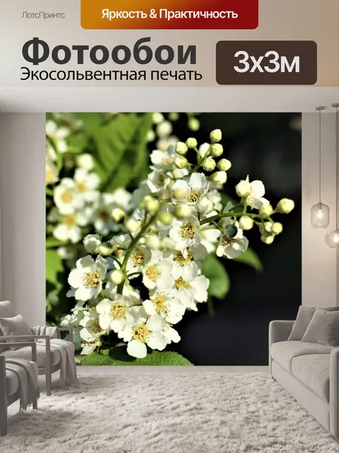 Фотообои Веточка