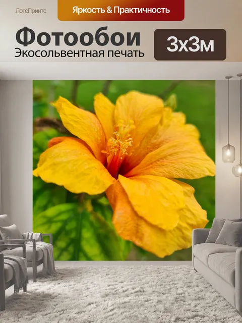Фотообои Желтый цветок гибискуса