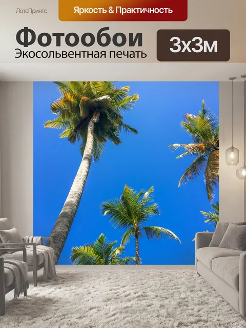 Фотообои Пальмы и голубое небо.