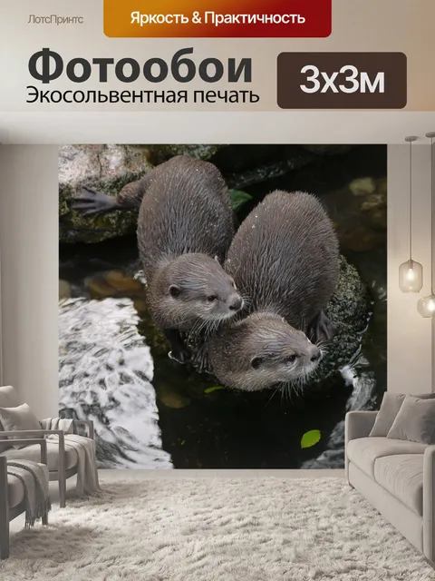 Фотообои Выдра