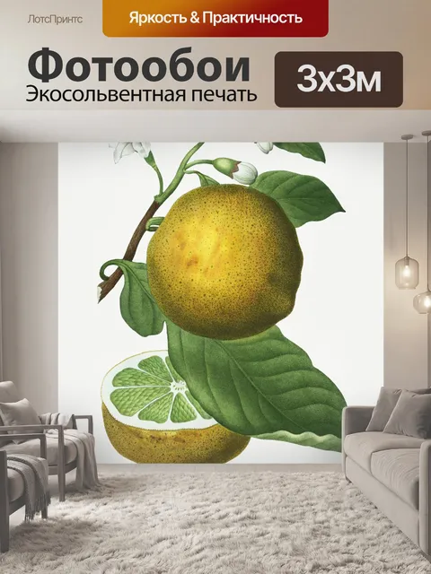 Фотообои Лимонный апельсин винтажный старый
