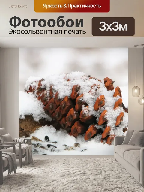 Фотообои Снежный покрытый сосновый конус