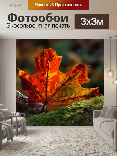 Фотообои Осень листва листва кленовый лист