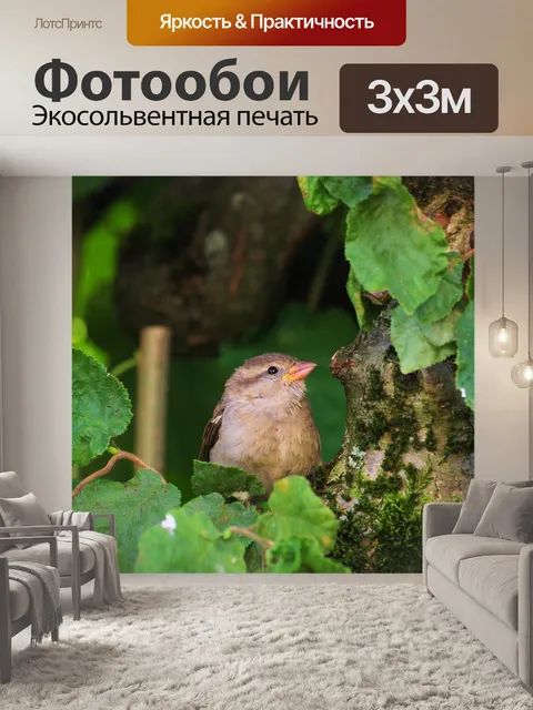 Фотообои Птица