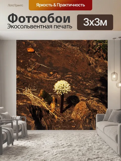 Фотообои белая гора кисть цветок