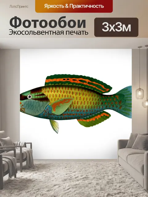 Фотообои Рыба Parrotfish Vintage Art