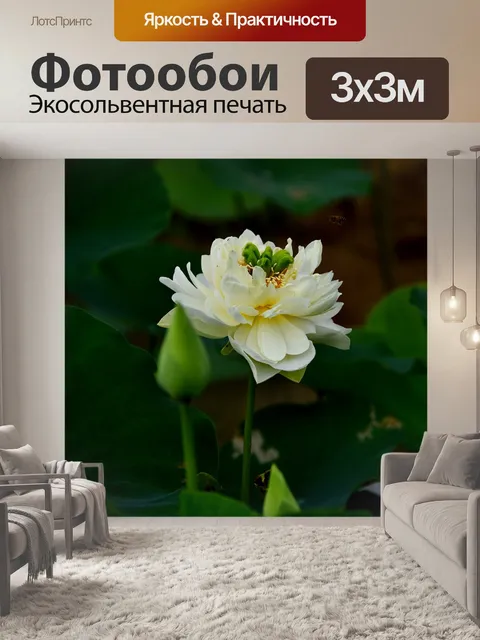 Фотообои Золотой лотос