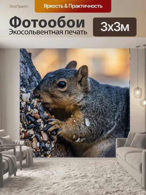 Фотообои Серая белка в еде дерева
