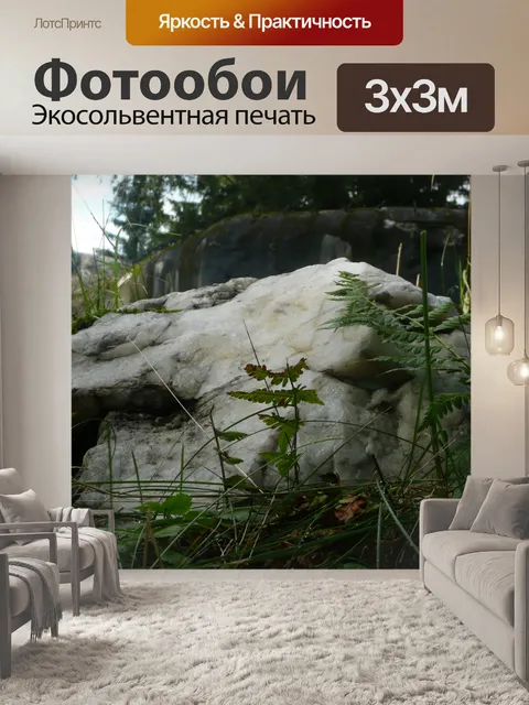 Фотообои белого камня