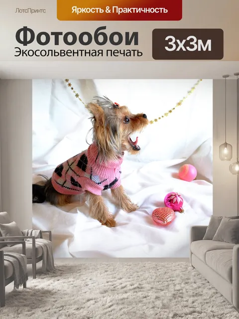 Фотообои Собака