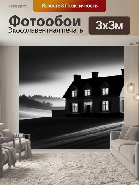 Фотообои картинка пейзаж с домом чернобелый