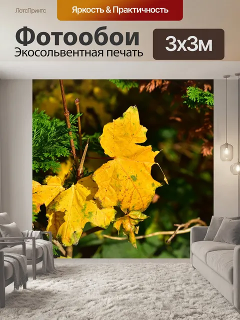 Фотообои Падение