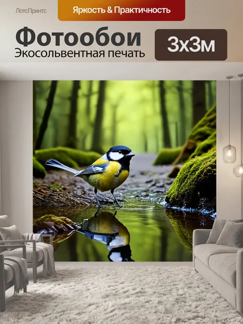 Фотообои вдохновляющая очаровательная сцена с большой синицей, спускающейся к воде в лесном ручье