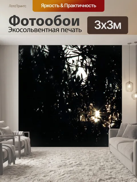 Фотообои солнечные лучи сквозь темные ветви