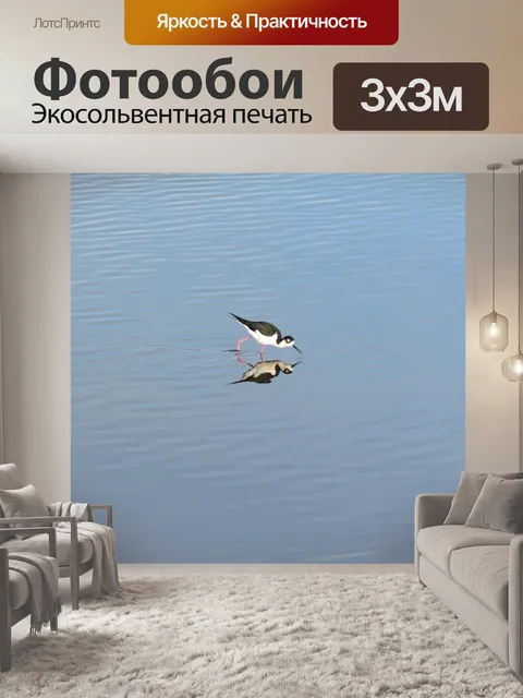 Фотообои Вода