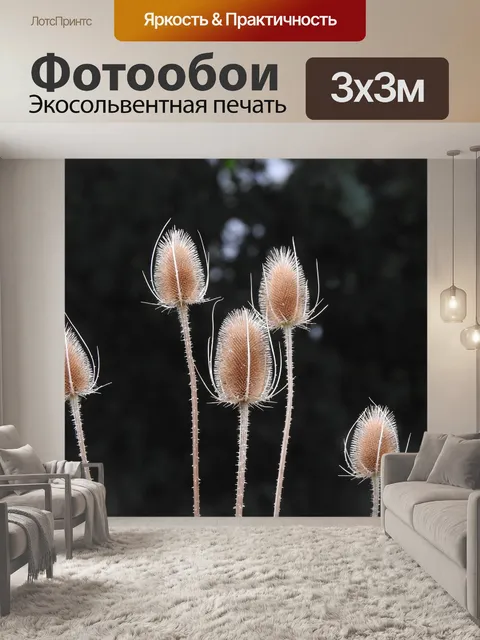 Фотообои Растения