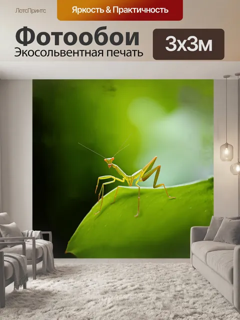 Фотообои богомол сидит на зеленом листе