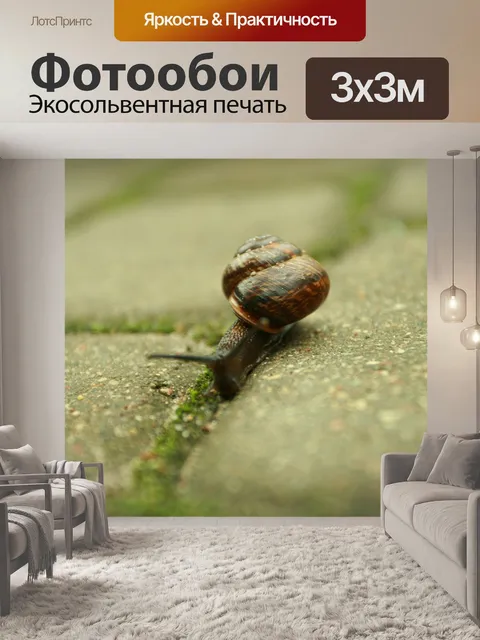 Фотообои Улитки