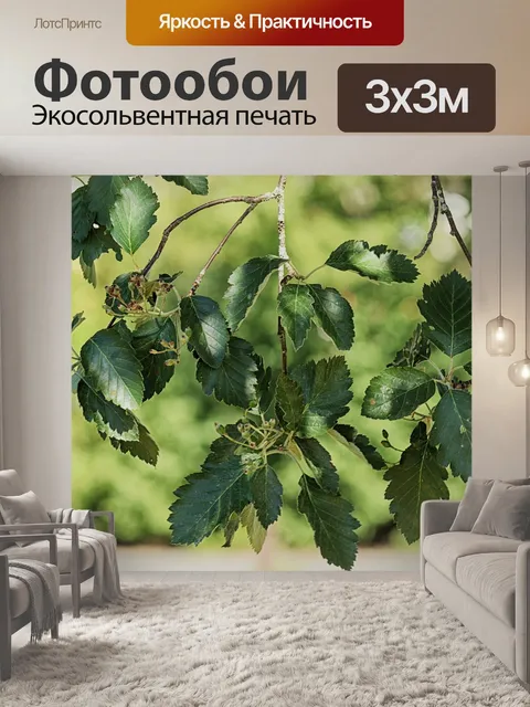 Фотообои Листья