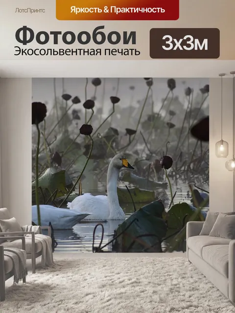 Фотообои Животное