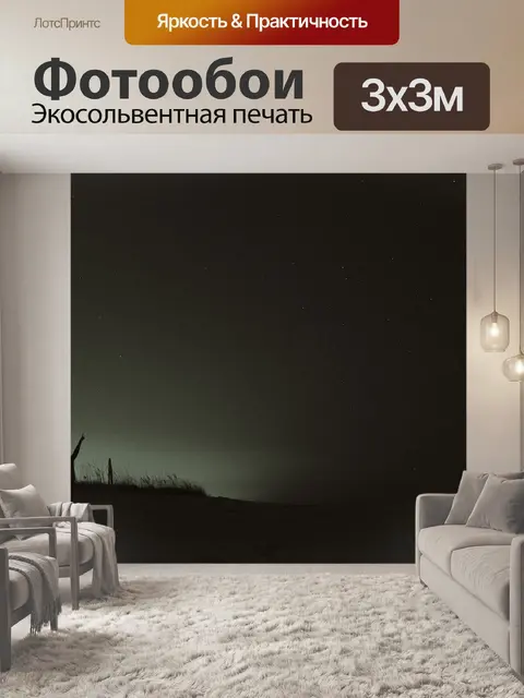 Фотообои Черное и белое