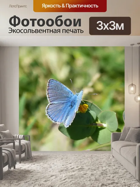 Фотообои Голубая бабочка