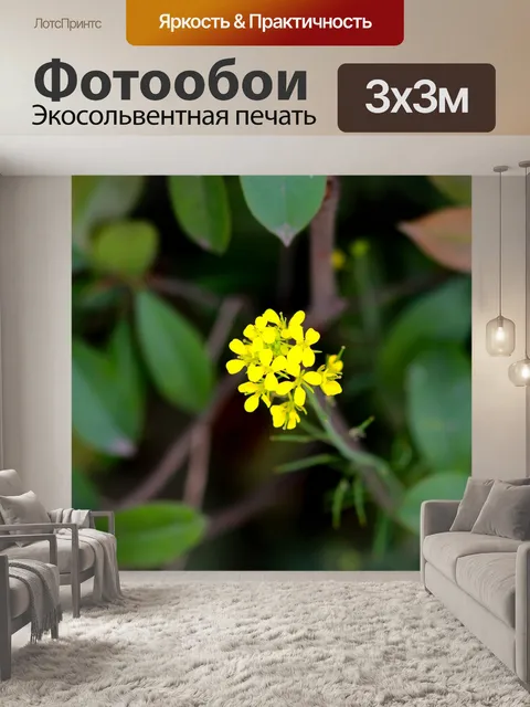 Фотообои Изнасилование
