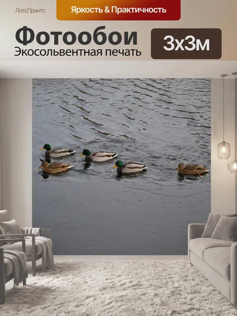 Фотообои утки